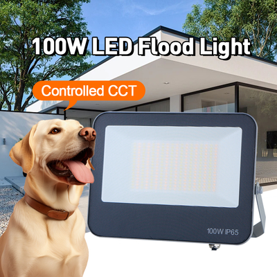 Zewnętrzna lampa LED powodziowa 3CCT 3000K 4000K 6500K Regulowana temperatura barwowa IP65 wodoodporny szary materiał Wysokiej jakości lampa